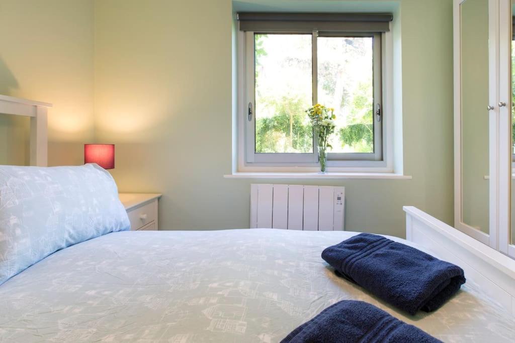 Cosy Modern Oxford Apartment Εξωτερικό φωτογραφία